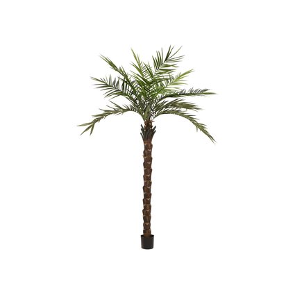 Kentia palm with fashionably processed trunk made of plastic