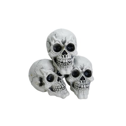 Skulls in a set of 3 as scary decorations