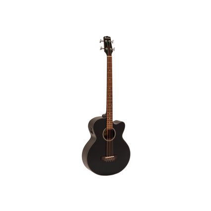 Acoustic bass with pickup