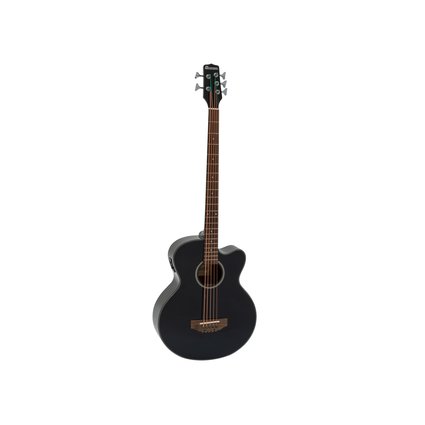 Five-string acoustic bass with pickup