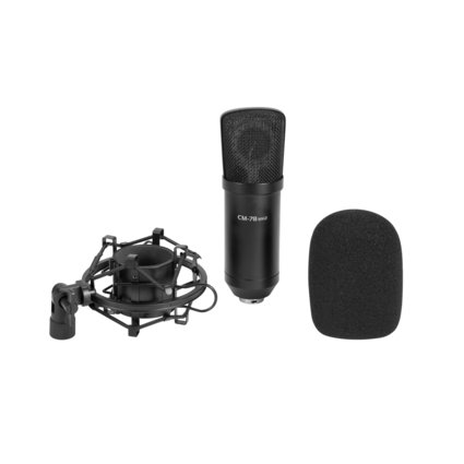 Large diaphragm condenser microphone for professional studio applications