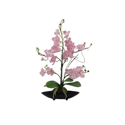 Orchid arrangement with pot