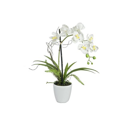 Orchidee im Dekotopf