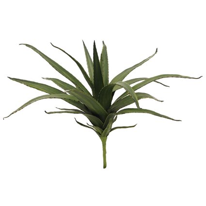 Aloe plant with soft-touch leaves - looks lifelike