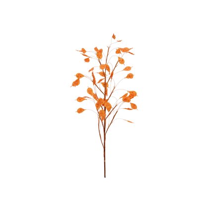 Siberblatt-Zweig mit Blättern
