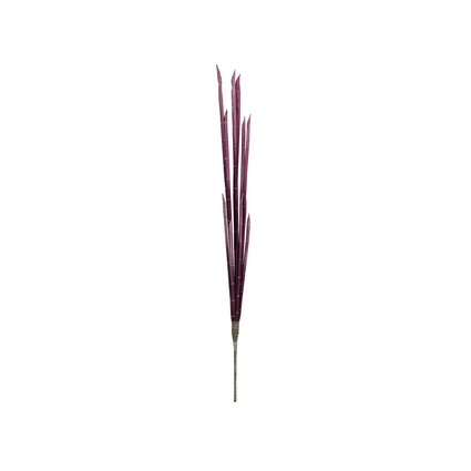 Magic onion stalks with stem