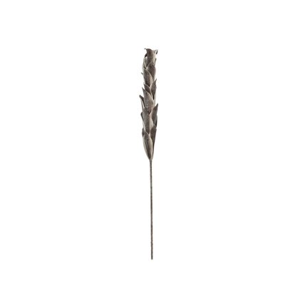 Decorative twig whose leaves look deceptively similar to owl feathers