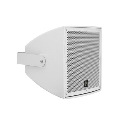 Weather-proof 12" wall speaker with mount, 300 W RMS