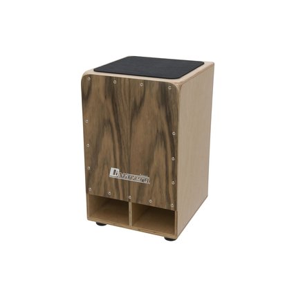 Cajon with subwoofer system