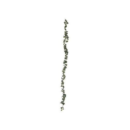 82503730