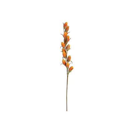 Buriti palm twig