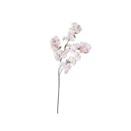 Abundant blooms for creative floral designs