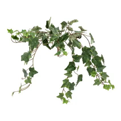 Natural accents for creative landscaping concepts