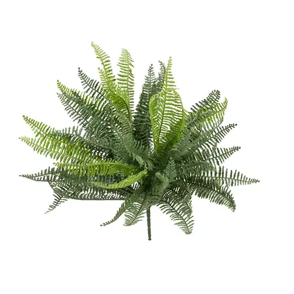 Natural freshness for a wide range of decorative settings