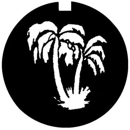 50881010