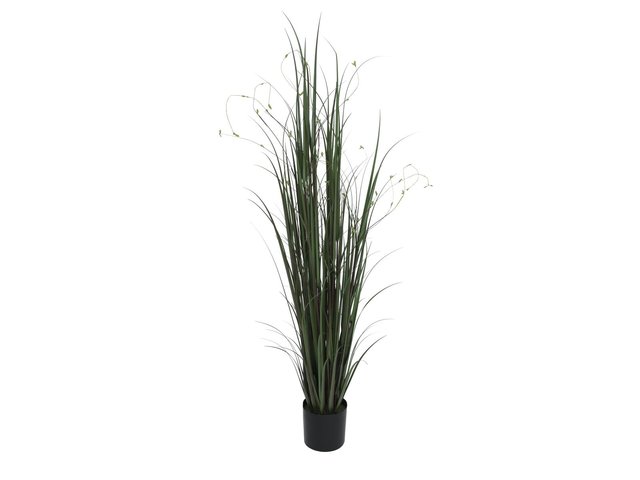 Willow branch grass with pot-MainBild