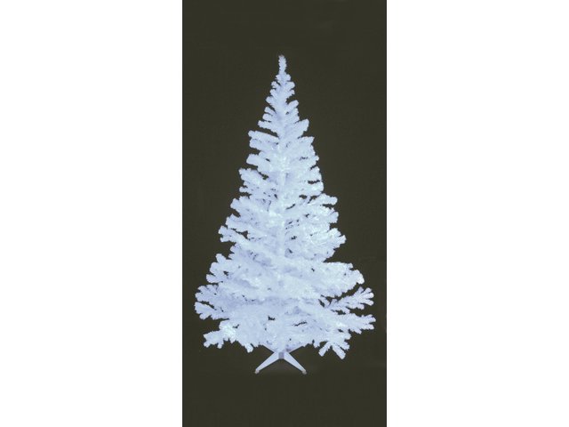 Classic fir tree in trendy color-MainBild