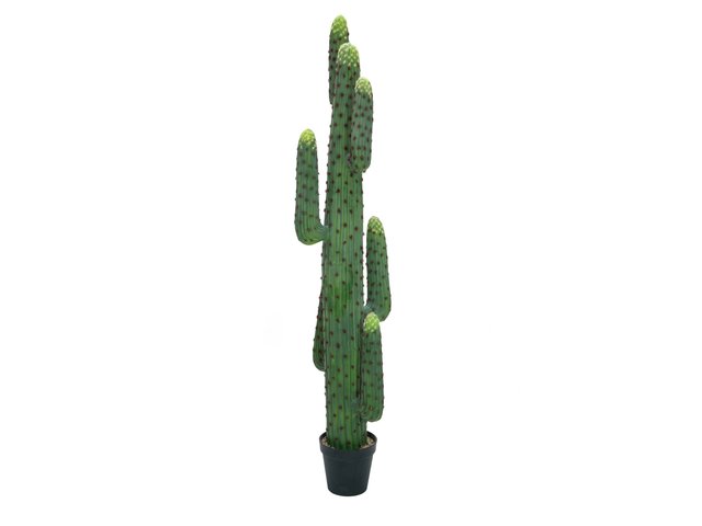 Decorative cactus with side twigs made of high-quality plastic-MainBild