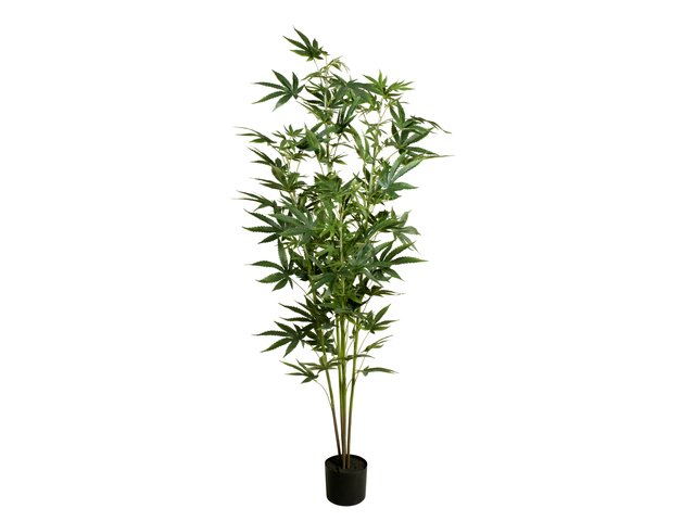 Artificial cannabis plant for decorations-MainBild