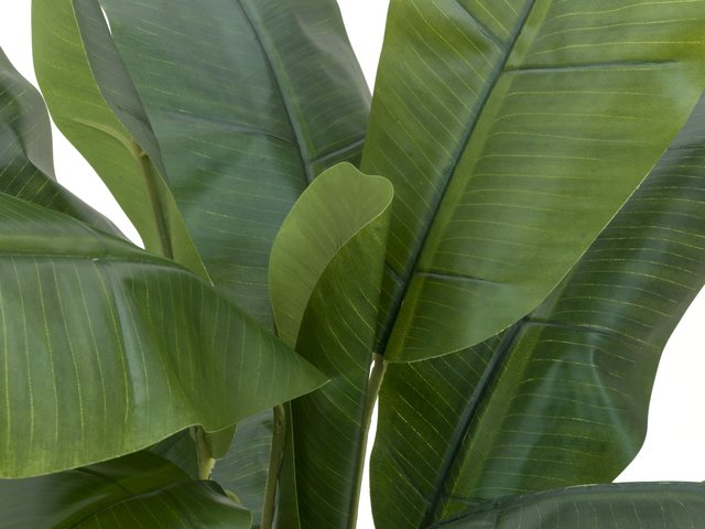 Banana tree, artificial plant, 120cm - europalms