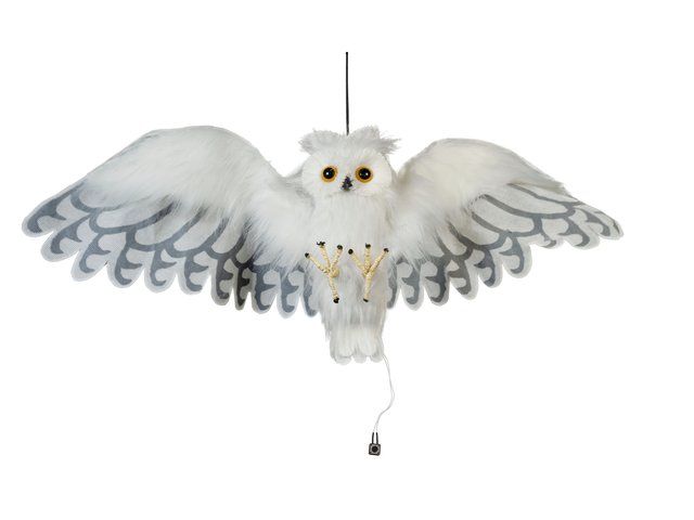 Animated white owl with light, sound and motion effect-MainBild