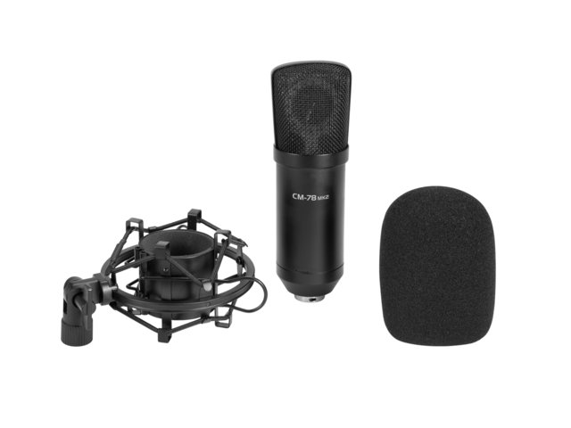 Large diaphragm condenser microphone for professional studio applications-MainBild