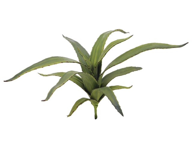 Aloe plant with soft-touch leaves - looks lifelike-MainBild