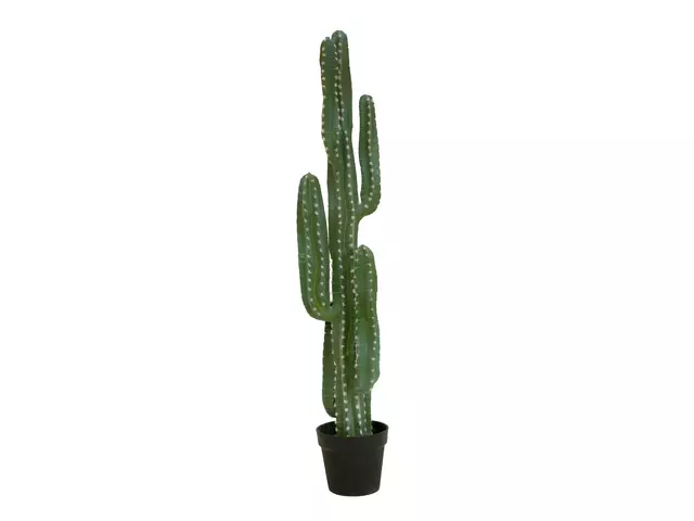 Mexican cactus, artificial plant, green, 123cm - europalms