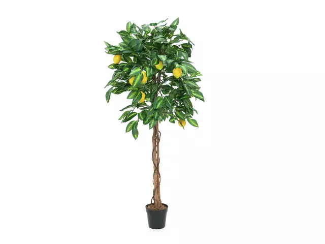 Europalms Zitronenbaum 180cm Kunstpflanze 