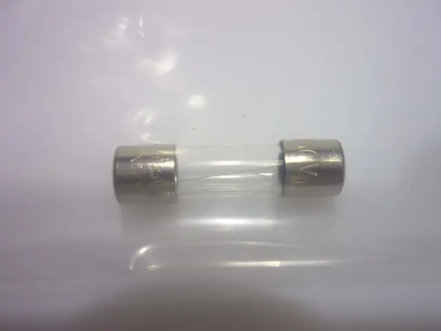  Feinsicherung Print T0,8A-MainBild