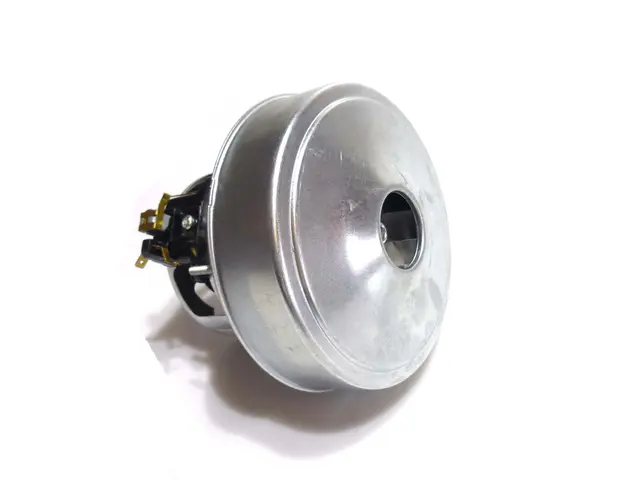  Blower Snow 6001-MainBild