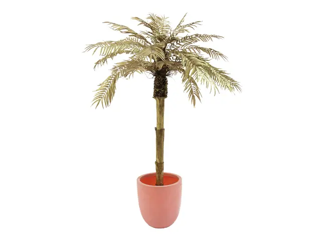 Ein absoluter Eye-Catcher,  Stamm mit Palmfasermaterial-MainBild