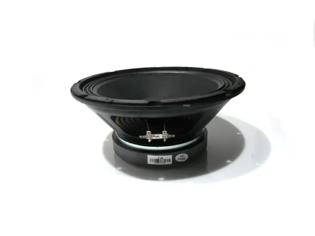  midrange 10" MAXX-1200DSP-MainBild