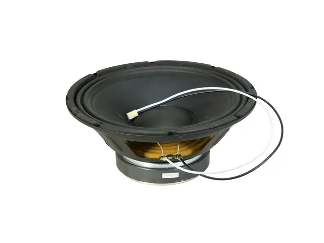  woofer 10" 4Ohm 100W MOM-10BT4 (ESP100W04R10C-PB)-MainBild