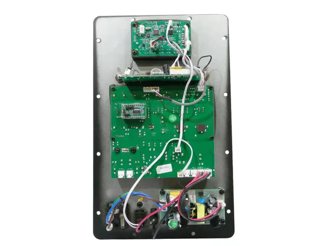  Amplifier module WAMS-12BT2-MainBild