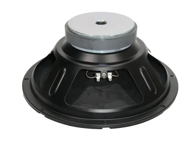  Subwoofer WAMS-12BT2-MainBild