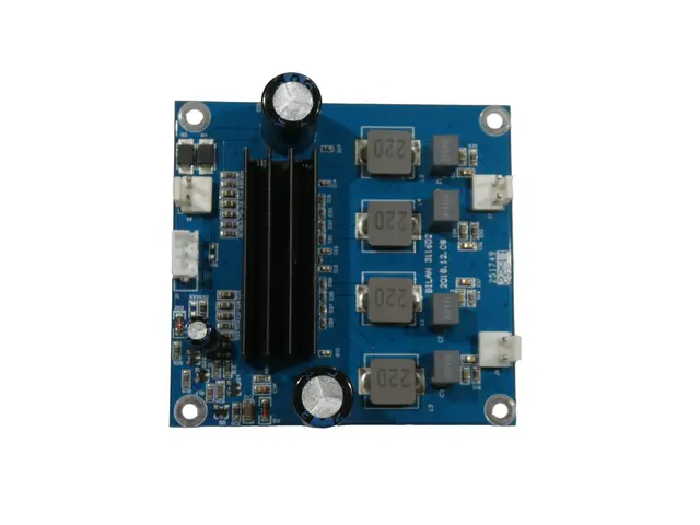  Pcb (Amplifier)  EPA-100BT (BILAN 3116D2)-MainBild