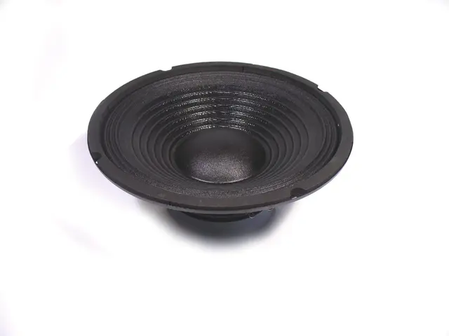  Woofer für DX-2022 (16Ohm)-MainBild