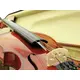Violin 4/4-Bild-2