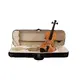 PRO Violine-Bild-1