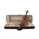 PRO Violine-Bild-1