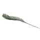 Single cycus palm leaf, perfect for table decorations-Bild-1