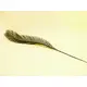 Single cycus palm leaf, perfect for table decorations-Bild-2