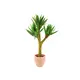 Naturgetreue Yucca-Palme-Bild-1