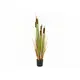 Herbaceous growing plastic swamp and aquatic plant-Bild-2