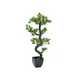 Bonsai decorativo attraente in PE-Bild-1