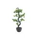 Bonsai decorativo attraente in PE-Bild-2