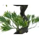Bonsai decorativo attraente in PE-Bild-4