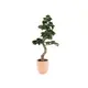 Classy artificial plant for the highest demands-Bild-1