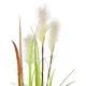 Wild reed in natural colors-Bild-2